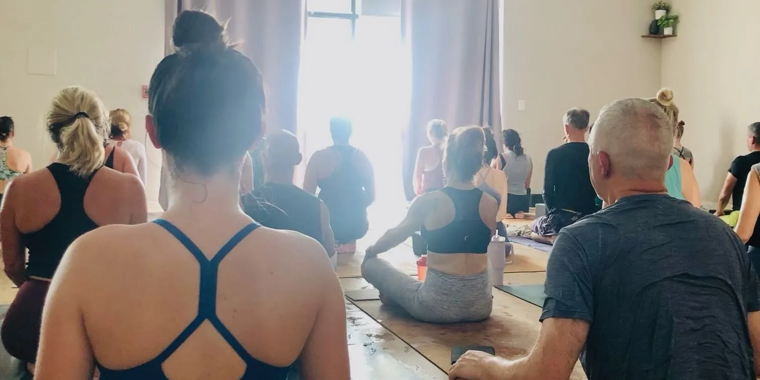 Students seated on mats seen from behind, facing a bright window with lavender curtains in the studio